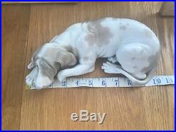 Rare, Lladro Large Dog. Pointer Dog Authentic. Perfect Con. Can Deliver