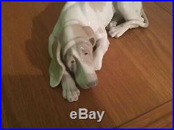 Rare, Lladro Large Dog. Pointer Dog Authentic. Perfect Con. Can Deliver