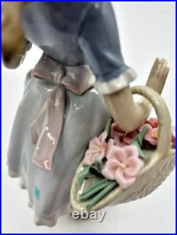 Rare Lladro Mirth in The Country Figurine #4920 Retired Glazed Finish WithBox