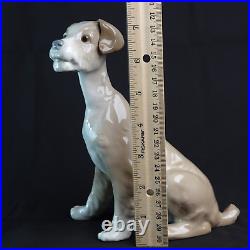 Rare Lladro Sitting Dog Large 7.5'' Wire Fox Terrier Tramp #4583 Retired 1981