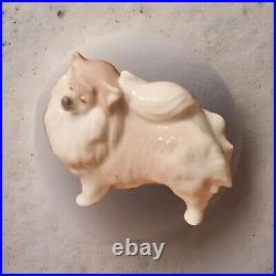 Rare Llardo 2007 Pomeranian Porcelain Dog DA18A Spain. Excellent Condition