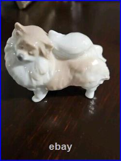 Rare Llardo 2007 Pomeranian Porcelain Dog DA18A Spain. Excellent Condition