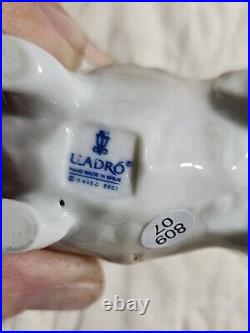 Rare Llardo 2007 Pomeranian Porcelain Dog DA18A Spain. Excellent Condition