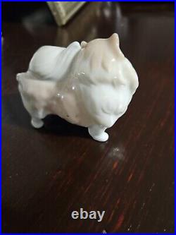 Rare Llardo 2007 Pomeranian Porcelain Dog DA18A Spain. Excellent Condition