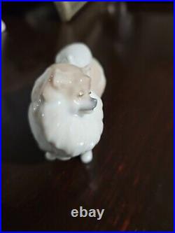 Rare Llardo 2007 Pomeranian Porcelain Dog DA18A Spain. Excellent Condition