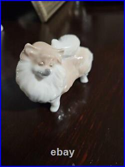 Rare Llardo 2007 Pomeranian Porcelain Dog DA18A Spain. Excellent Condition