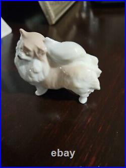 Rare Llardo 2007 Pomeranian Porcelain Dog DA18A Spain. Excellent Condition