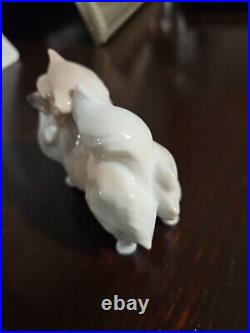 Rare Llardo 2007 Pomeranian Porcelain Dog DA18A Spain. Excellent Condition