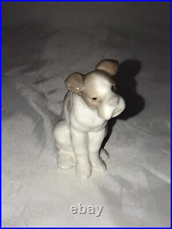 Rare! Vintage Lladro Dog Timid Sad Curious 1970's  Made In Spain
