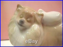 Retired Pomeranian Puppy Dog Porcelain By Lladro 8338