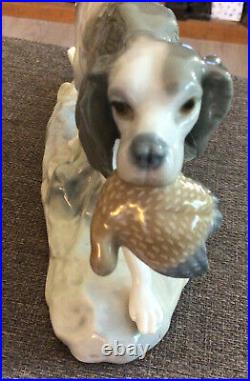 Retired Setter Hunting Dog With Pheasant In mouth Retired LLadro Approx'63-'80