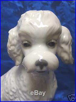 Sweet Poodle Dog Figurine Nao By Lladro #1655
