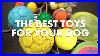 The Best Toys For Your Dog 2 Time World Champion Ivan Balabanov Shows You His Favorite Dog Toys