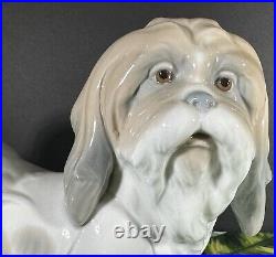 Third generation LLADRO LHASA APSO GLAZED PORCELAIN FIGURINE #4642 RETIRED