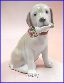 This Bouquet Is For You Dog Flowers Figurine 2016 By Lladro Porcelain #9256