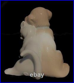 VeryAdorableLladro Against All Odds Dog/Kitty (8301 Mint Condition) Glaze