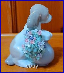 Vintage 1998 Lladro Dog Take Me Home! #6574 Porcelain Figurine (NEW in Box)