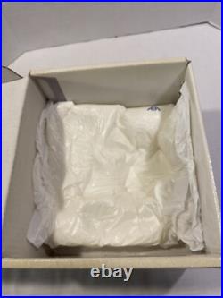 Vintage LLadro Chit Chat Porcelain Girl Dog Figurine #12310 With Box RETIRED