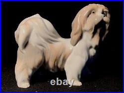 Vintage Lladro Glazed Lhasa Apso Dog Figurine