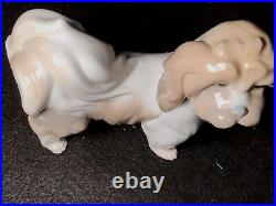 Vintage Lladro Glazed Lhasa Apso Dog Figurine