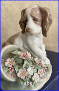 Vintage Lladro Society figurine #07672? It Wasnt Me