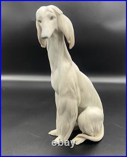 Vintage Lladro Spain Afghan Hound Dog Statue Figurine Retired #1069 11.75