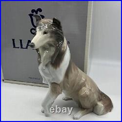 Vintage Lladro Spain Large sitting Rough COLLIE Dog Figurine 6455 Retired withBox