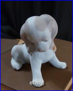 Vintage Rare Lladro Porcelain Dog Possible Pre Production Prototype Matte Finish