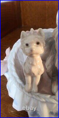 Vtg Lladro #6469 Our Cozy Home Yorkshire Terrier Mom & Pup Figurine Retired