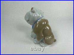 Will You Be Mine Male And Female Dogs Figurine Nao By Lladro #1731